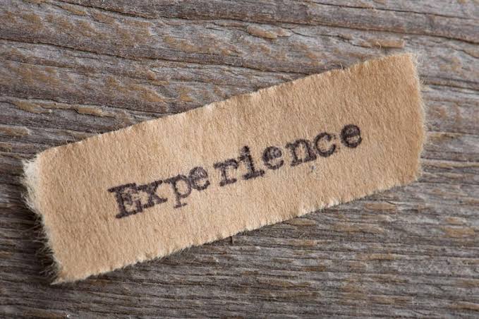 Professional Journey